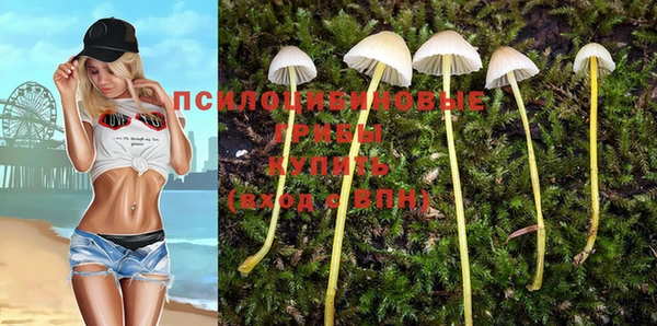 скорость Нязепетровск