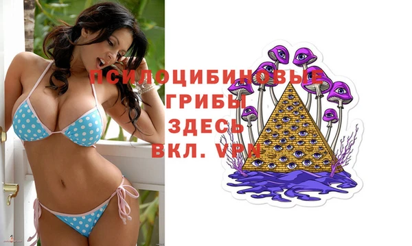 мдпв Нягань