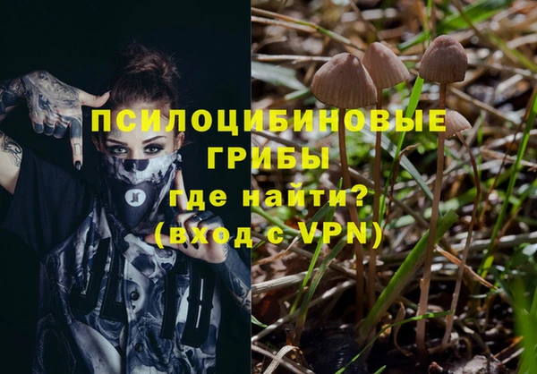 а пвп мука Костерёво