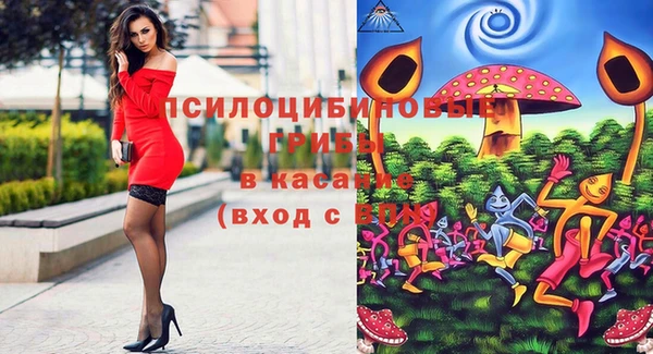 каннабис Осташков
